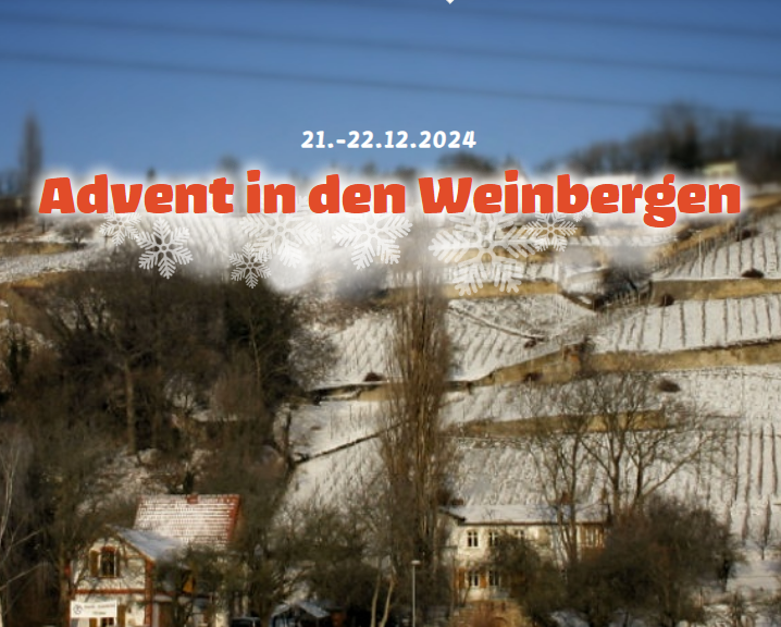 Bärentriker beim „Advent in den Weinbergen“ in Naumburg – Wir sammeln wieder für das Kinderhospiz Bärenherz!